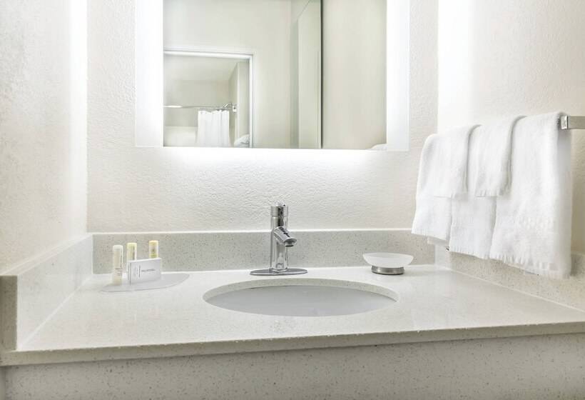 适合残疾人士使用的套间, Springhill Suites By Marriott Houston Brookhollow