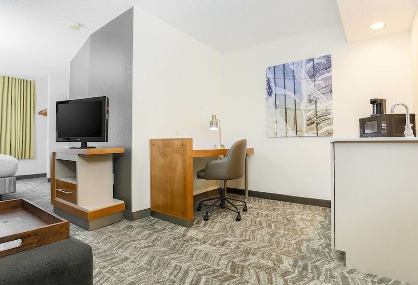 Люкс Адаптированный для Инвалидов, Springhill Suites By Marriott Houston Brookhollow