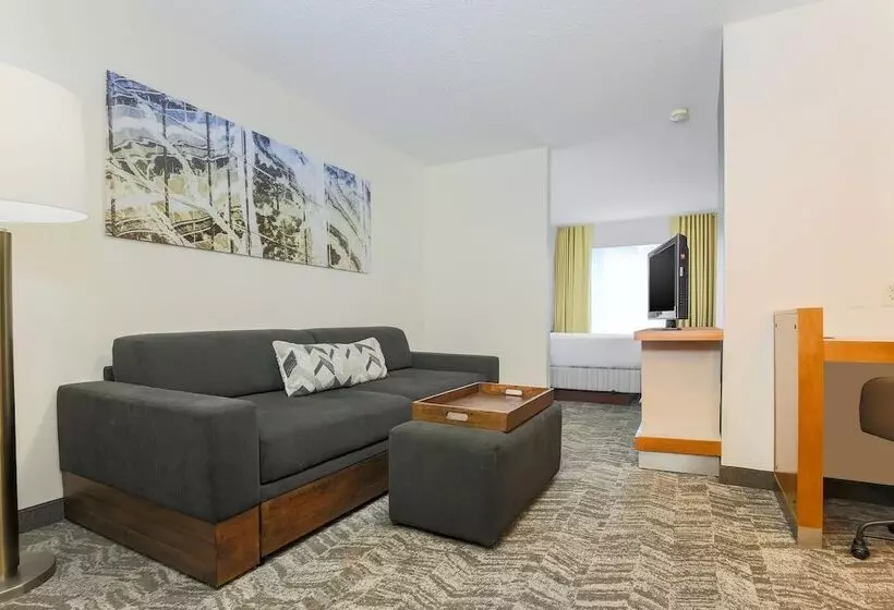身障者適用スイートルーム, Springhill Suites By Marriott Houston Brookhollow