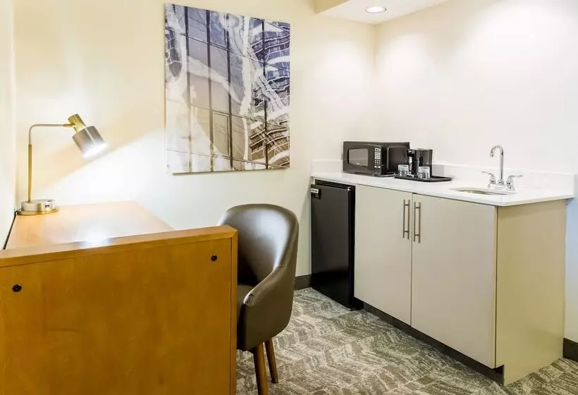身障者適用スイートルーム, Springhill Suites By Marriott Houston Brookhollow