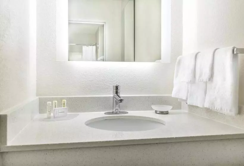 キングサイズベッドのスイートルーム, Springhill Suites By Marriott Houston Brookhollow