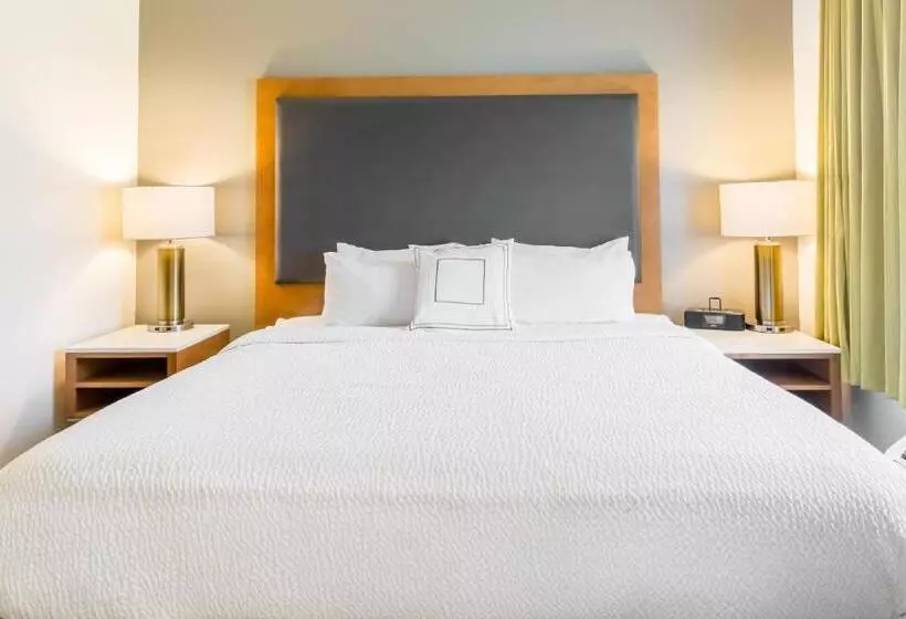 キングサイズベッドのスイートルーム, Springhill Suites By Marriott Houston Brookhollow