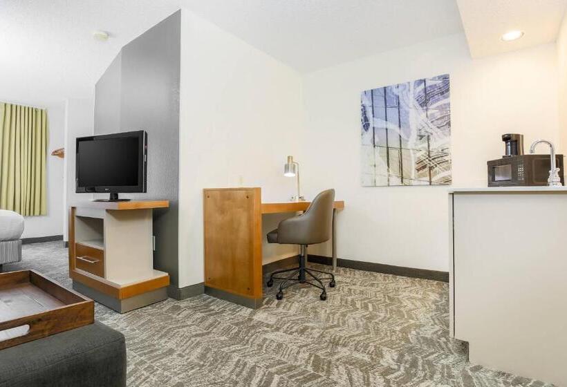 带大床的套房, Springhill Suites By Marriott Houston Brookhollow