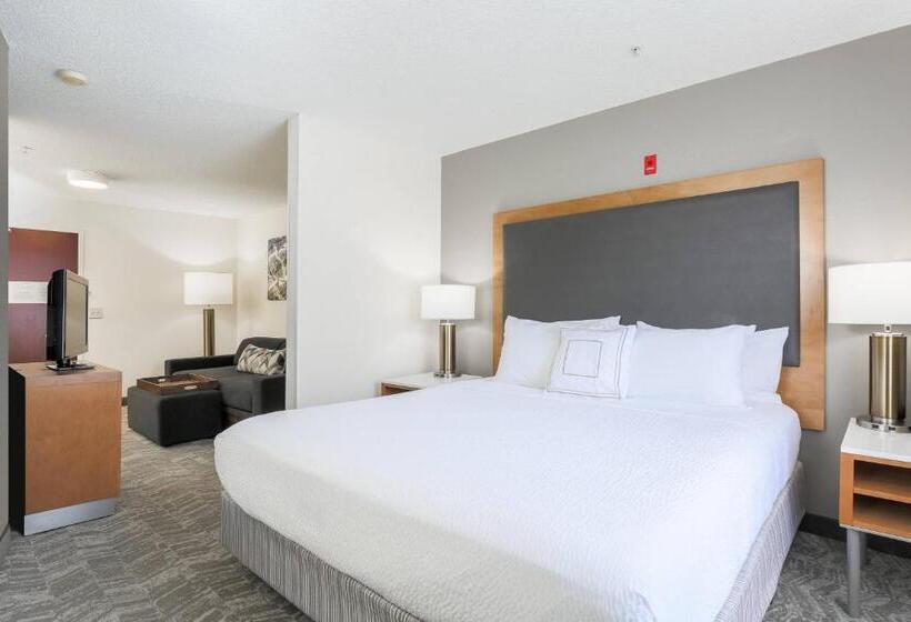 Люкс Кровать Кинг, Springhill Suites By Marriott Houston Brookhollow