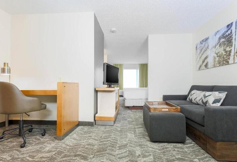套房, Springhill Suites By Marriott Houston Brookhollow