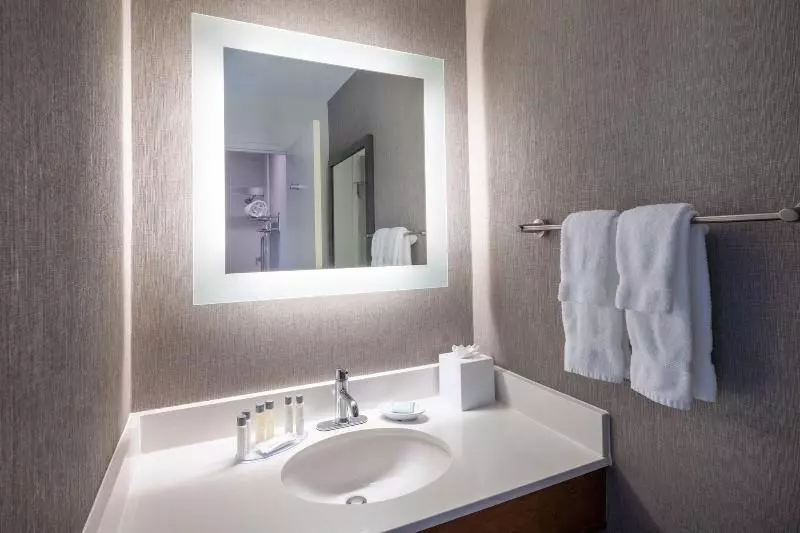 استودیو استاندارد با تخت کینگ, Springhill Suites Pasadena Arcadia
