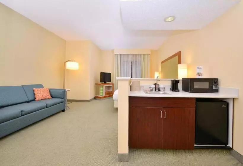 キングサイズベッドのスイートルーム, Springhill Suites Pinehurst Southern Pines