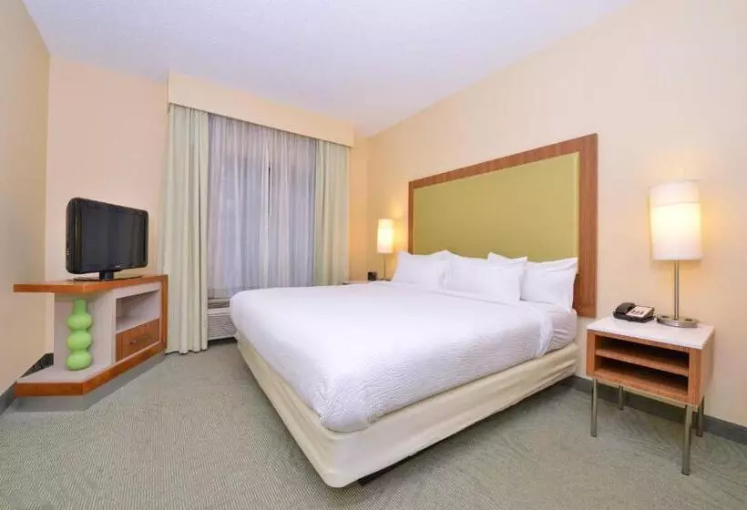 キングサイズベッドのスイートルーム, Springhill Suites Pinehurst Southern Pines
