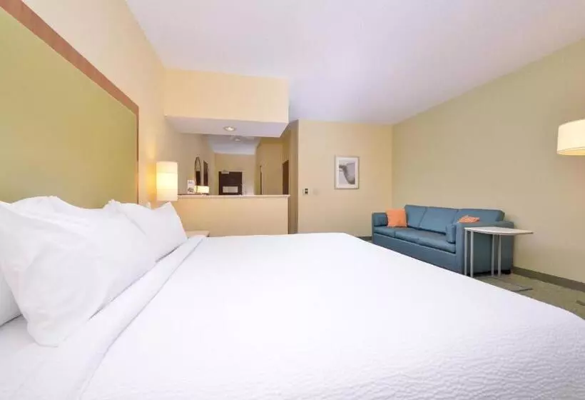 キングサイズベッドのスイートルーム, Springhill Suites Pinehurst Southern Pines