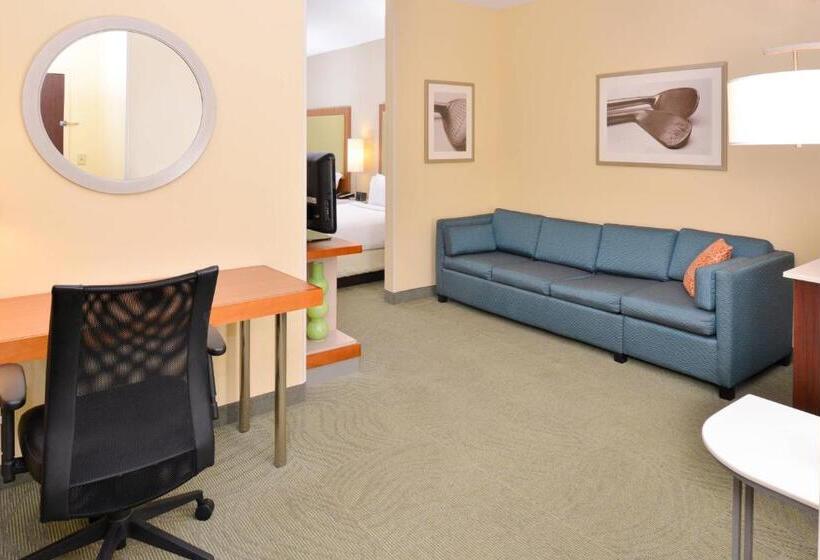 جناح سرير كينج, Springhill Suites Pinehurst Southern Pines