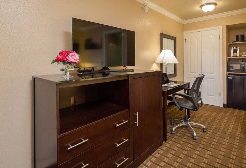 غرفه قياسيه سريرين مزدوجين, Stage Coach Lodge