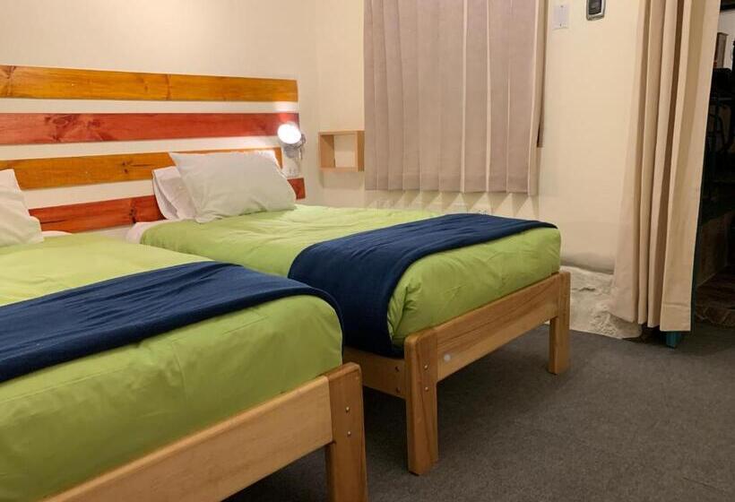 غرفة إقتصادية, Gaia House Hostel