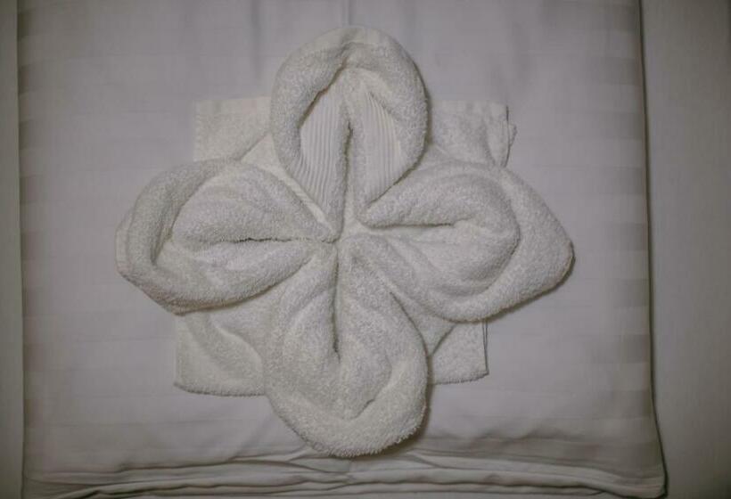 غرفة عائلية, Cédrus Club