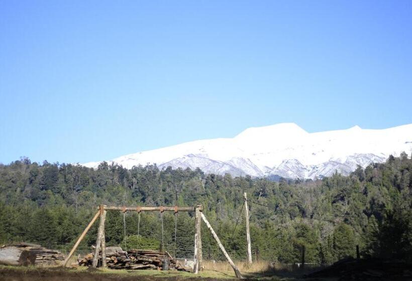 Номер Стандарт, Treca Rupan Lodge