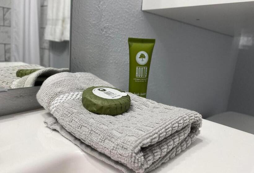 デラックスルーム, Veda Inn & Cottages