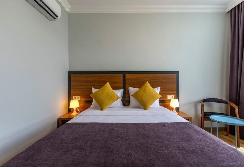 Camera Standard, Business Hotel Antalya