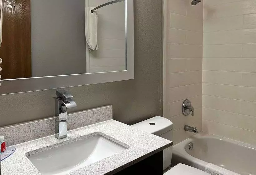 ２ダブルベッドのスタンダードルーム, Econo Lodge