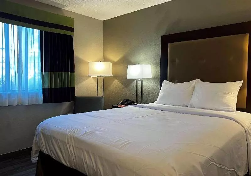 キングサイズベッドのスタンダードルーム, Econo Lodge