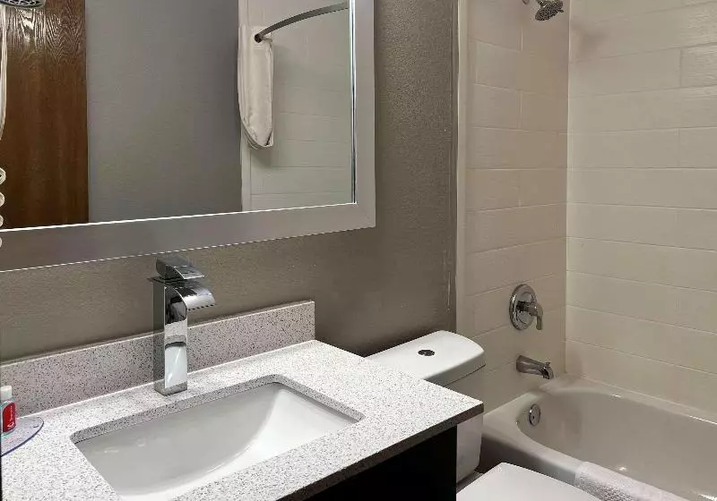 キングサイズベッドのスタンダードルーム, Econo Lodge
