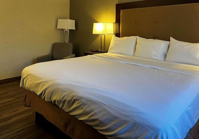 Стандартный Номер Кровать Кинг, Econo Lodge