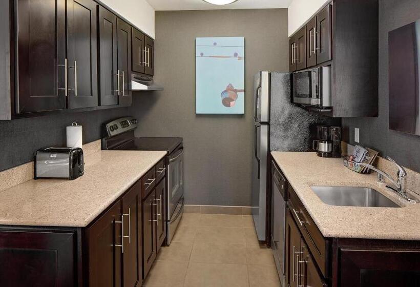 Люкс Адаптированный для Инвалидов, Hyatt House Dallas Las Colinas