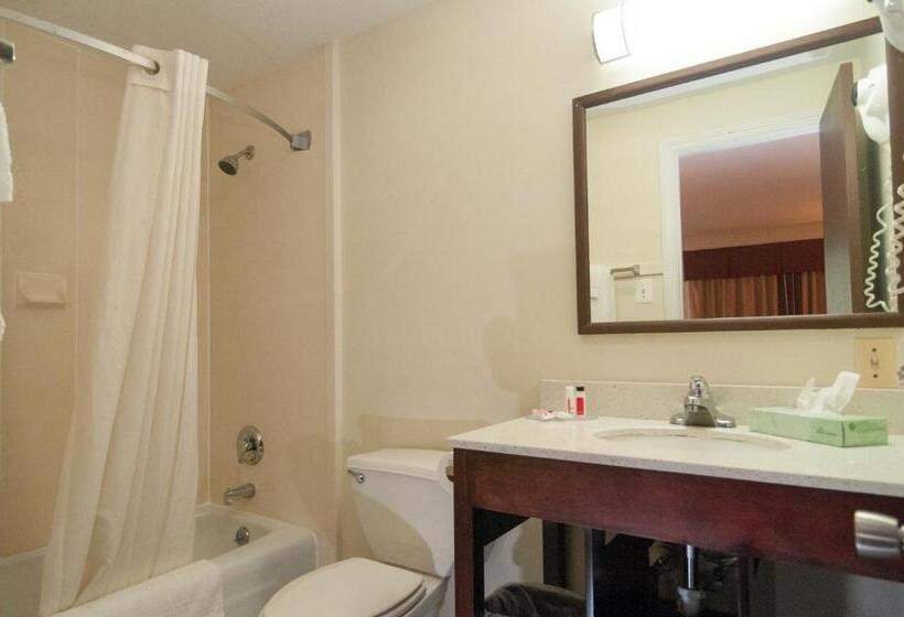 스탠다드 룸, Super 8 By Wyndham Old Saybrook