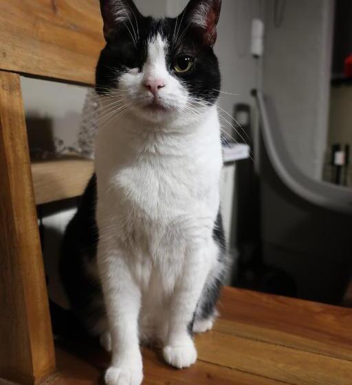 חדר סטנדרט, Chambres D Hôtes Le Chêne