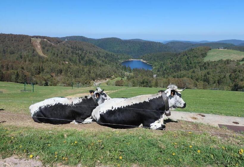 חדר לארבעה סטנדרטי עם נוף לגינה, Chambres D Hôtes Le Chêne