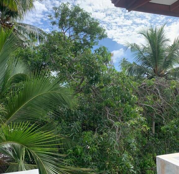 Номер Стандарт Вид на Бассейн, Anveela