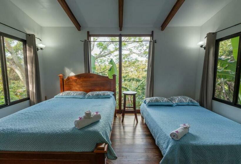 스탠다드 방갈로 정원 전망, Monte Santo Y Café