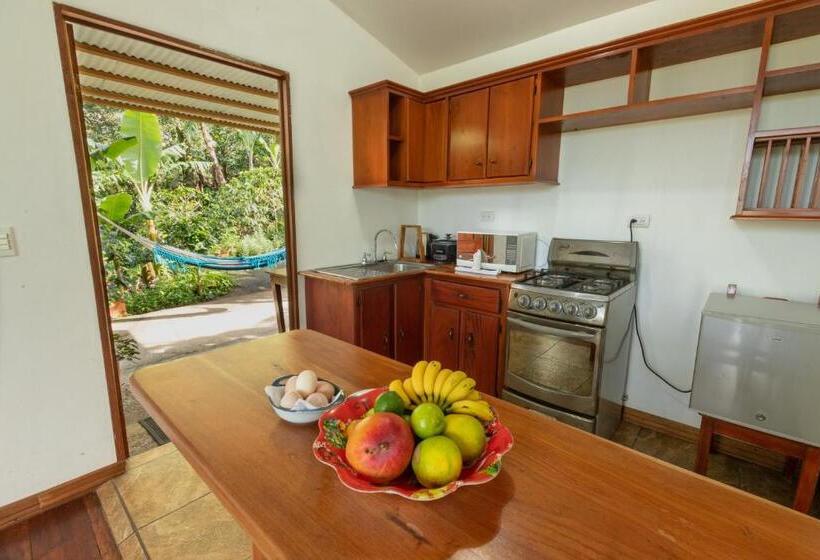 스탠다드 방갈로 정원 전망, Monte Santo Y Café