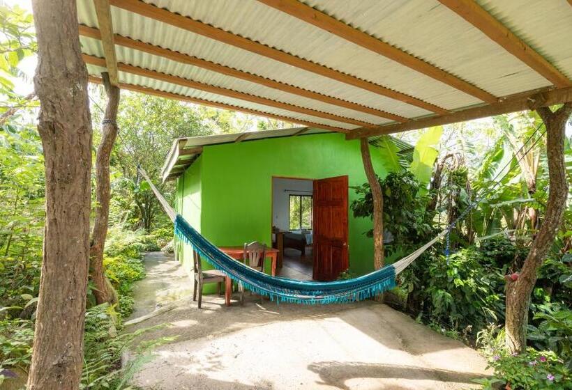 스탠다드 방갈로 정원 전망, Monte Santo Y Café