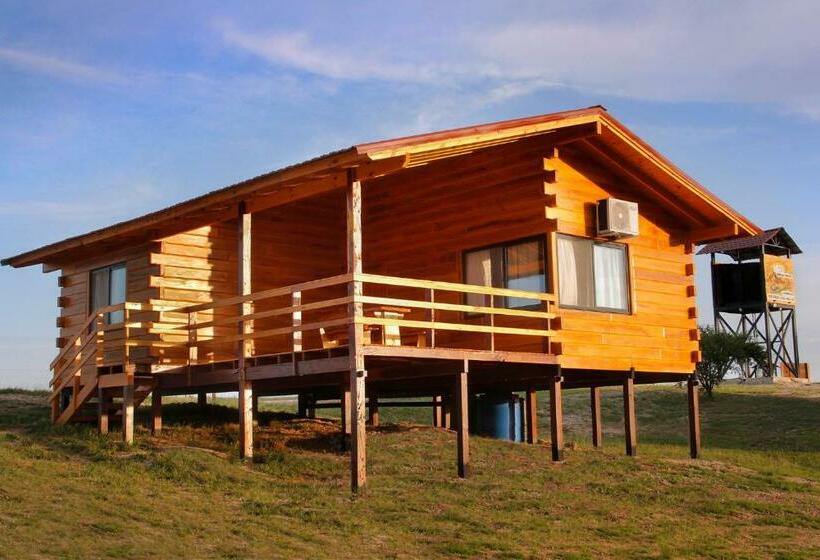 Семейный Номер, Complejo Apus