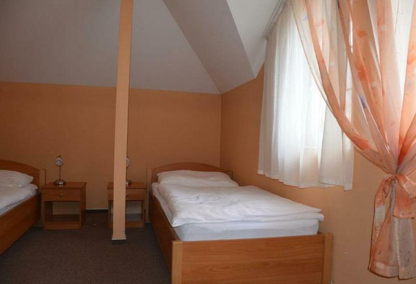 غرفة قياسية, Penzion York