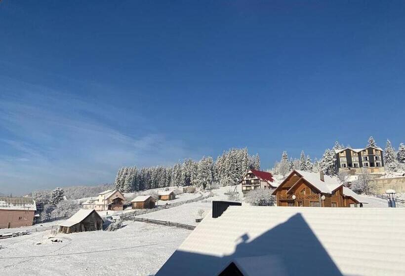 اتاق خانوادگی, Villa Livorno