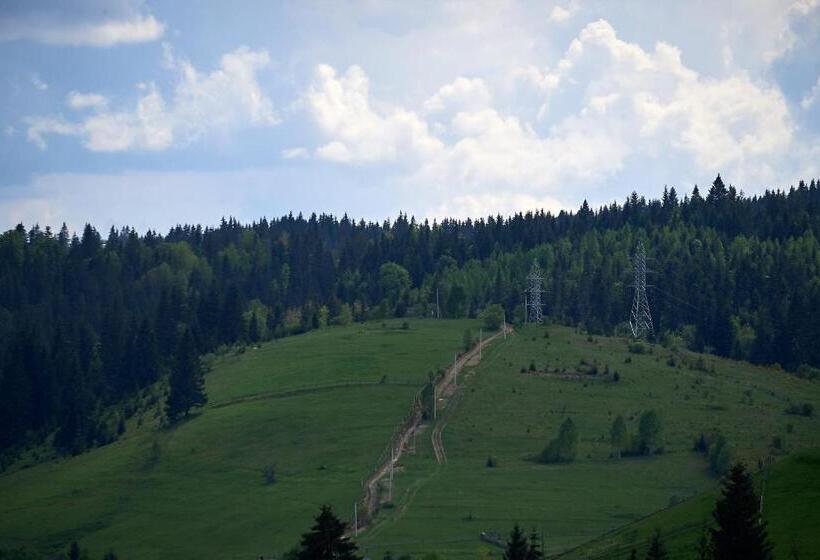 ویلای 1 خوابه, Villa Livorno