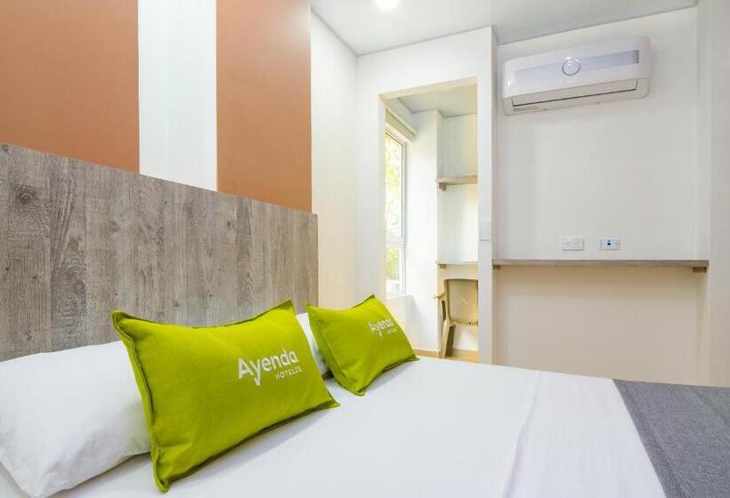 اتاق استاندارد, Ayenda 1420 Eco Suite