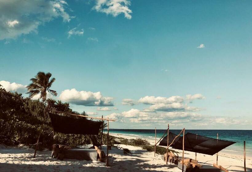 オーシャンビューデラックスルームバルコニー付き, Libelula Tulum Beachfront