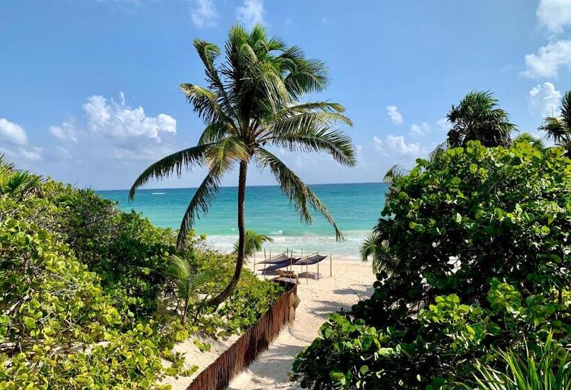 オーシャンビュースタンダードルームバルコニー付き, Libelula Tulum Beachfront
