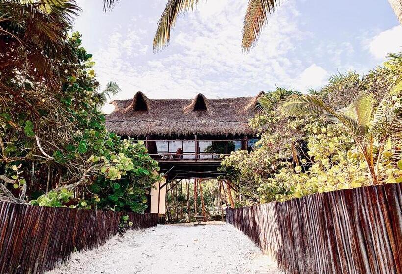 اتاق استاندارد با تخت بزرگ, Libelula Tulum Beachfront