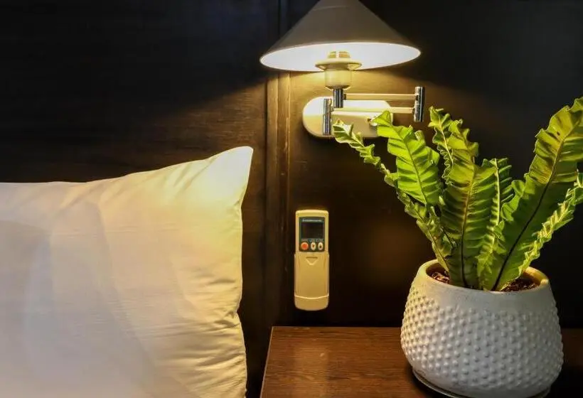 Suite, Technopark