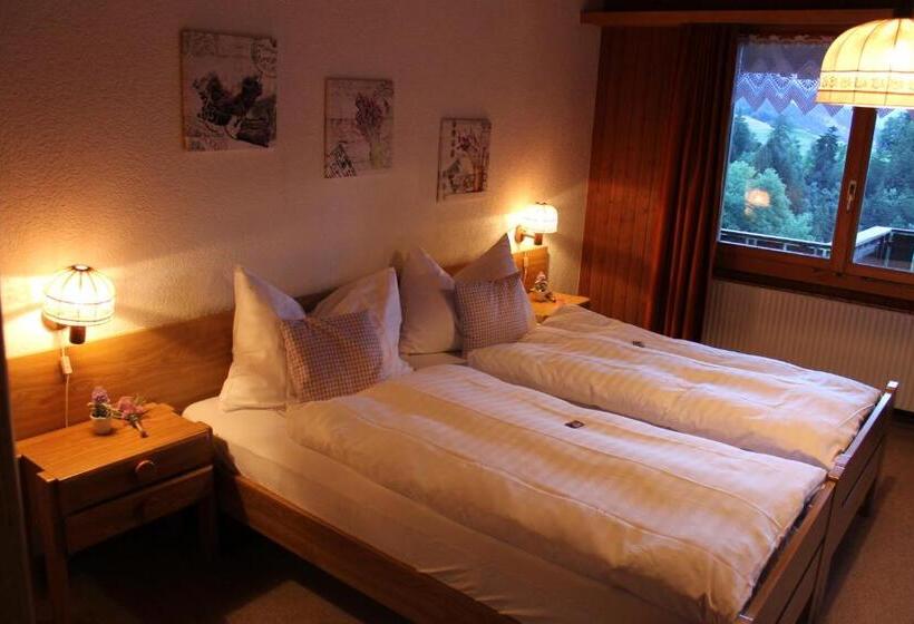 Standard Szoba, Rothorn