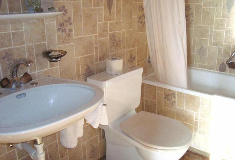 Superior Szoba, Rothorn