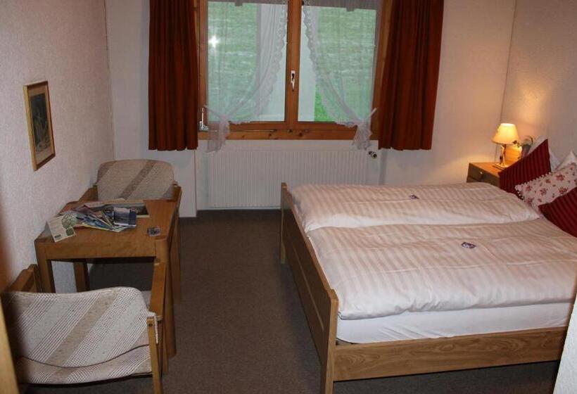 Economy Szoba, Rothorn