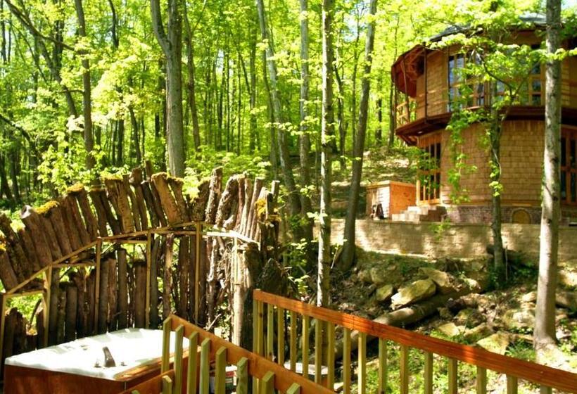 شاليه غرفة نوم واحدة, Lost River Hostel