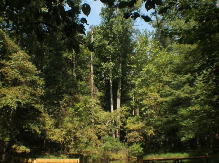 شاليه غرفة نوم واحدة, Lost River Hostel