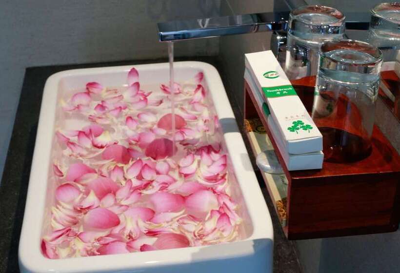 اتاق استاندارد, Zita Angkor