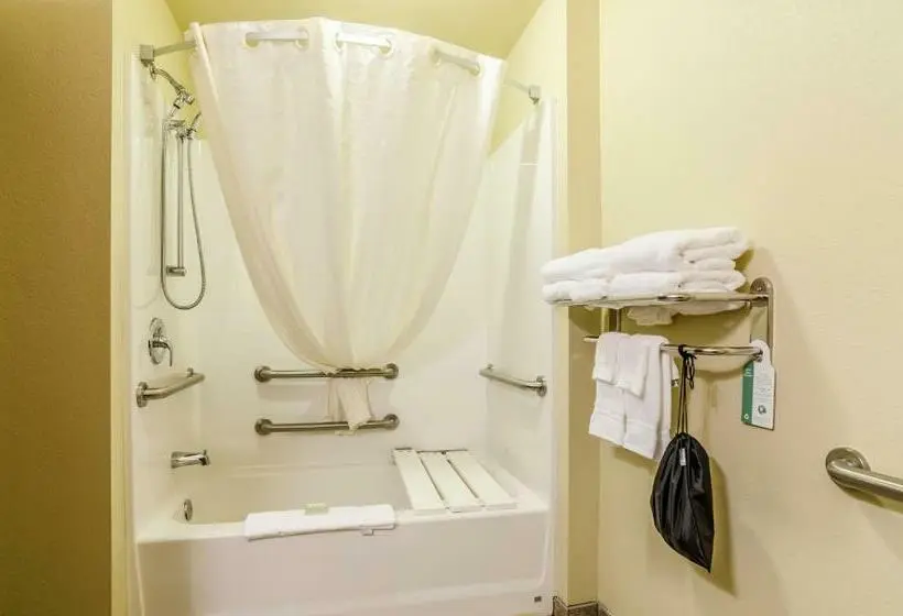 身障者適用キングサイズベッドルーム, Cobblestone Inn & Suites  Ord