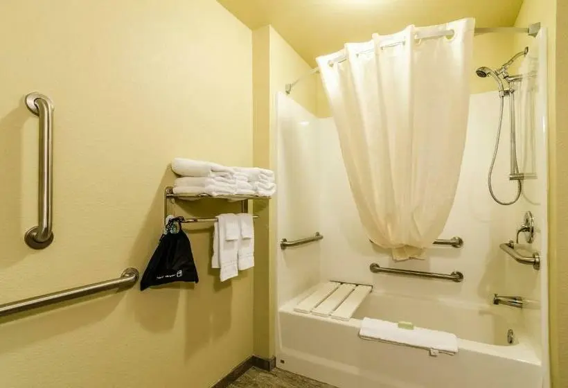 身障者適用スタンダードルーム, Cobblestone Inn & Suites  Ord