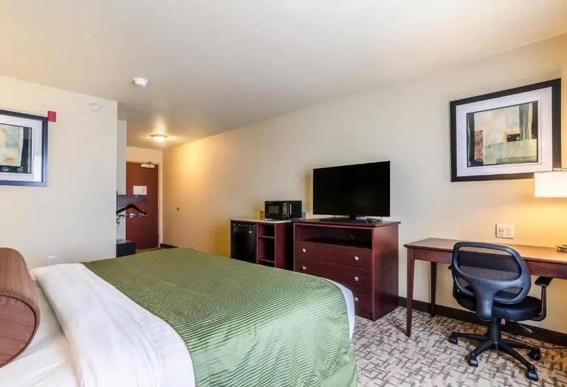 身障者適用キングサイズベッドルーム, Cobblestone Inn & Suites  Ord